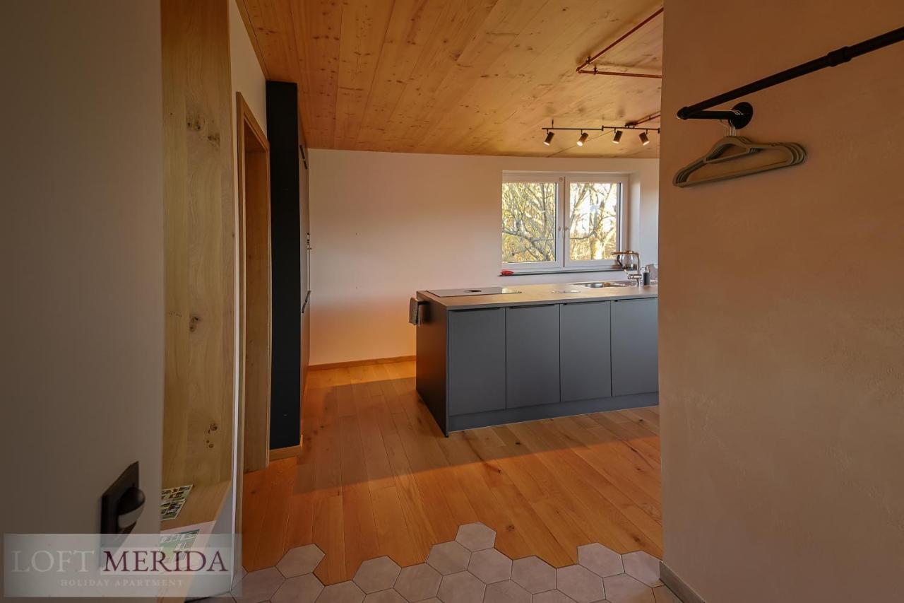 Loft Merida - Designer Apartment With Large Bathtub 부트겐바흐 외부 사진
